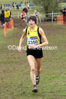Womens under-20s, 2020 British Athletics Inter Counties Cross Country Champs., Prestwold Hall, Loughborough. Photo: David T. Hewitson/Sports for All Pics